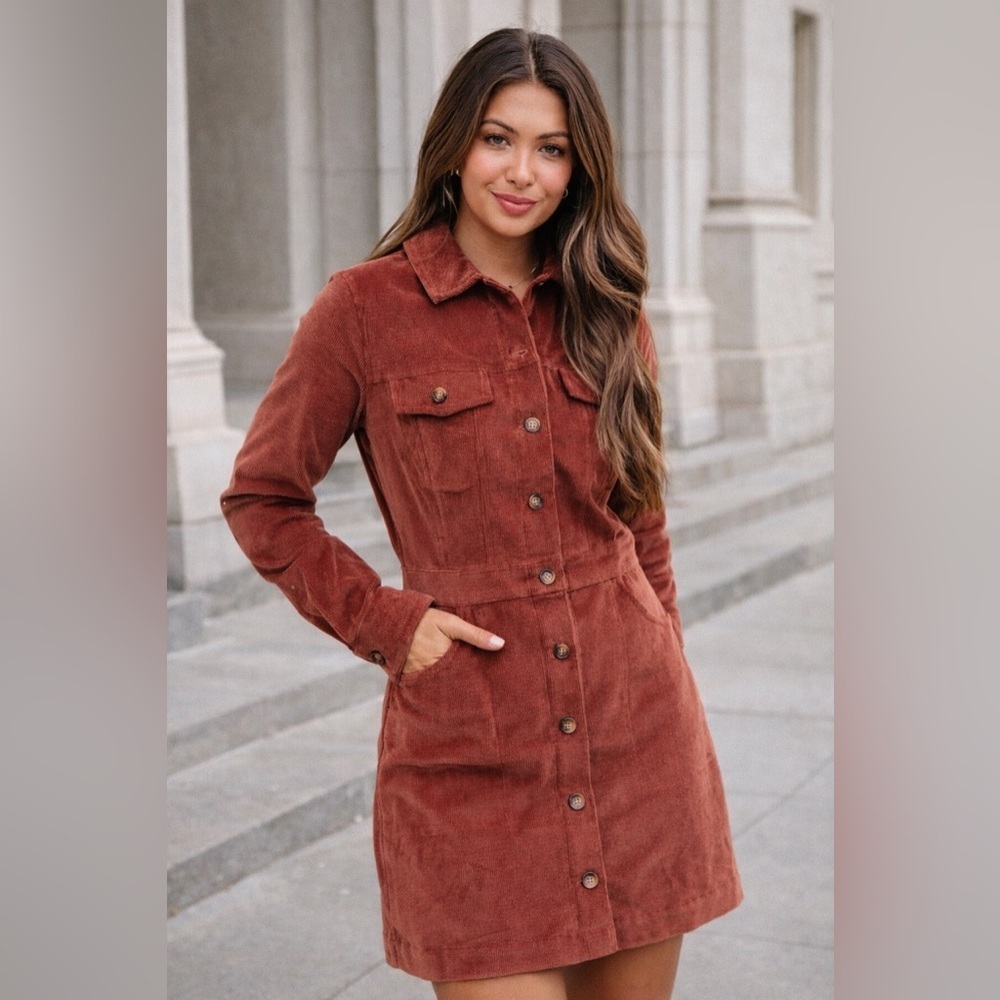 385. Thread & Supply Rust Corduroy Mini Dress